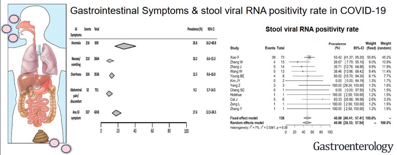 Manifestations gastro-intestinales du COVID-19 : Insig
