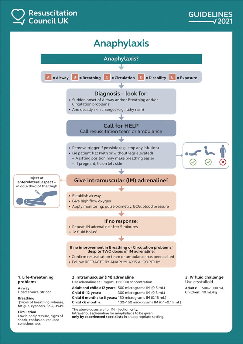 Traiter l’anaphylaxie : importance de l’intramusculaire