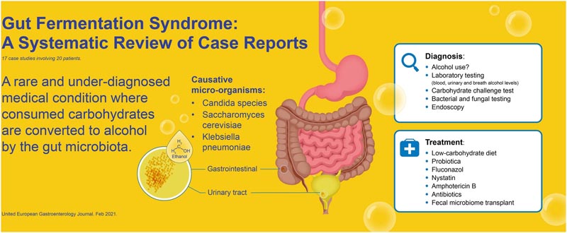 Explorer le syndrome de fermentation intestinale