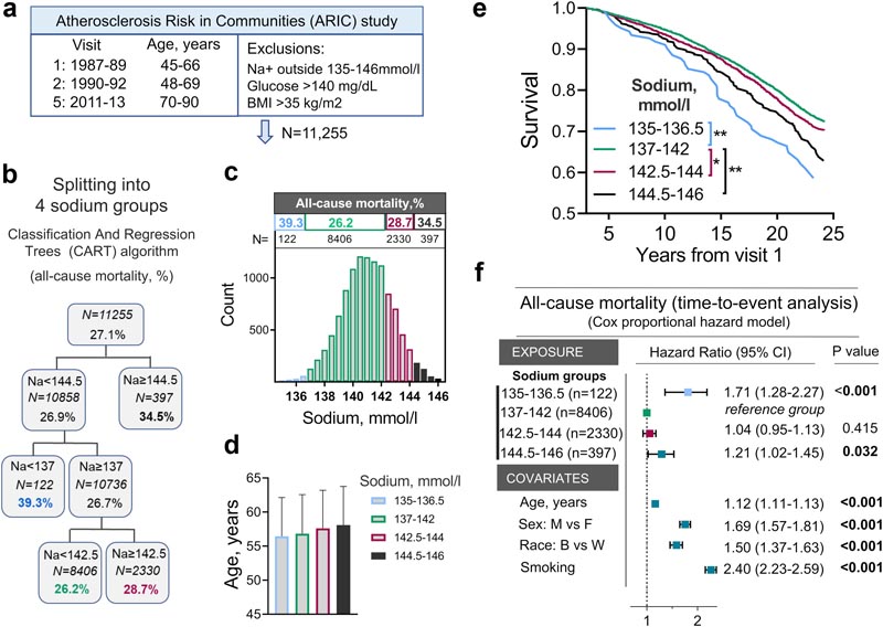 Metabolic Syndrome and Cardiovascular Disease Risk