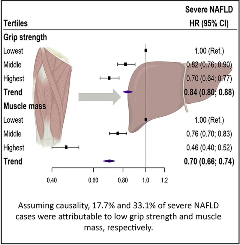 La forza muscolare e la massa predicono il rischio