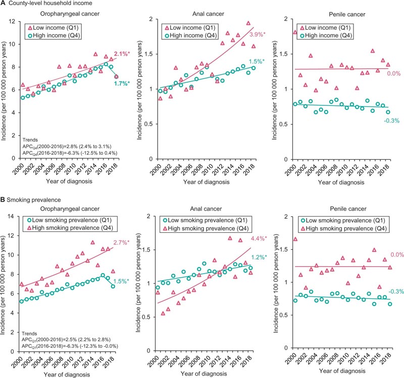 Incidence croissante des cancers associés au VPH : un globe