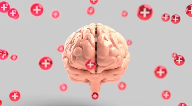 World Brain Day Spotlights Brain Health Awareness