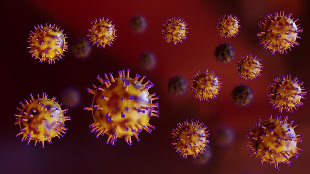 Epstein-Barr-Virus im Zusammenhang mit Multipler Sklerose